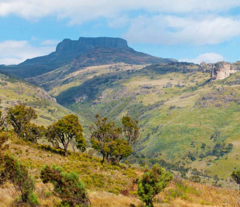 Seven-day Mt. Elgon Hiking Experience